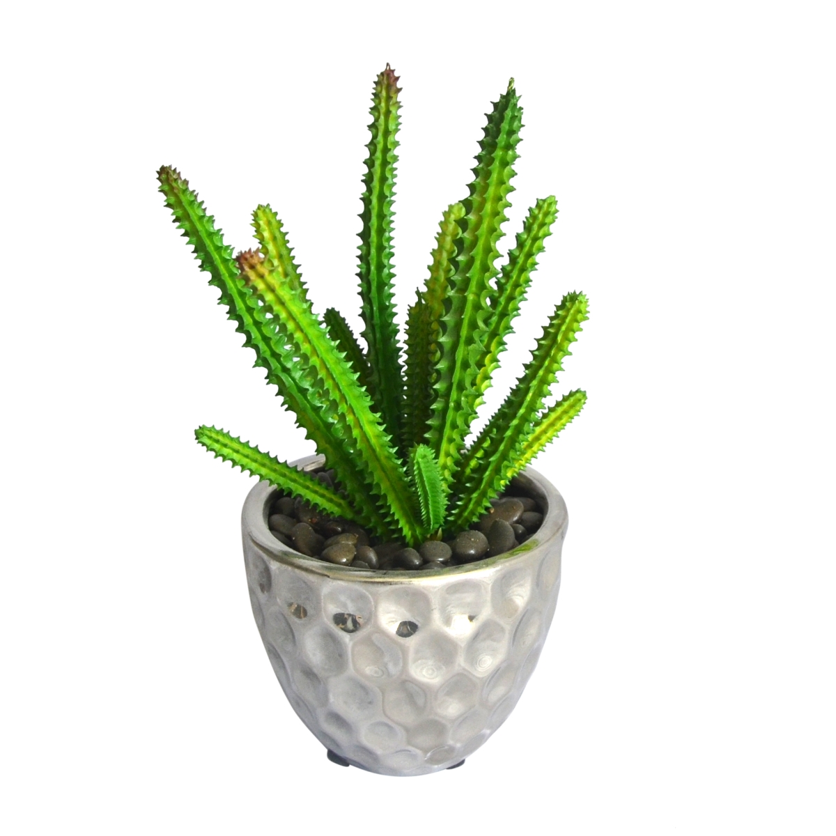 Picture of Jeco HD-BT180 4.72 in. PE Succulent Plant, Green