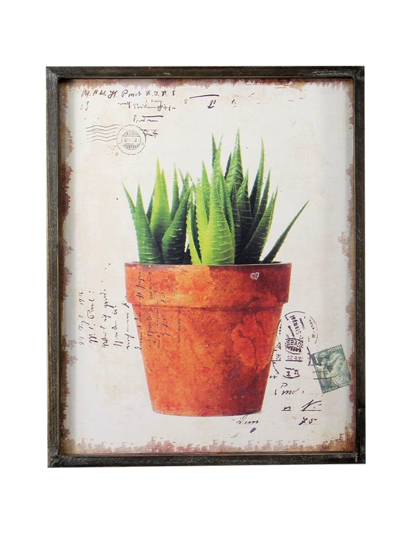 Potted Aloy Picture Frame