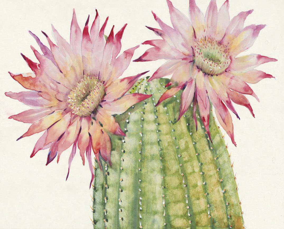 19.7 in. Printing Canvas Art, Pink & Green