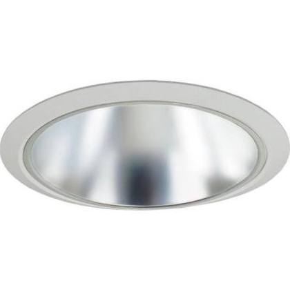 4 in. Clear Lens for Rlh Architectural
