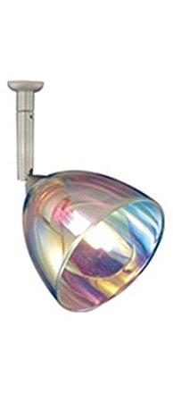 6 in. Quick Adapt Spot - Chrome