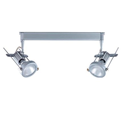 39W Metal Halide Track Light Fixture, 120V - Silver
