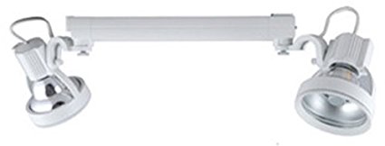 39W Metal Halide T6-G12 24 deg Track Light Fixture, Silver