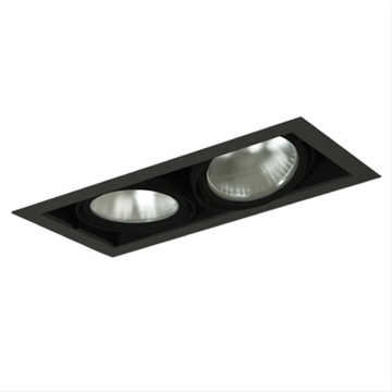 2-Light Par38 Double Gimbal