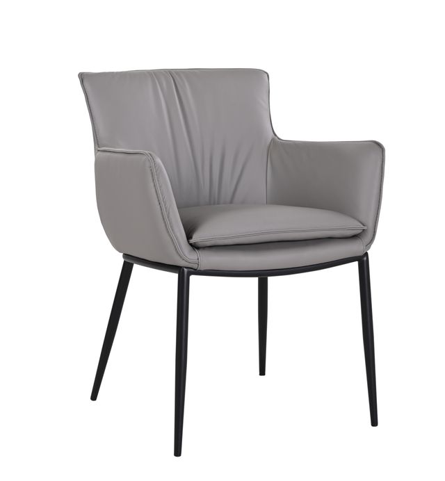 Picture of J&M Furniture 18852-G Kani Armchair&#44; Grey 821