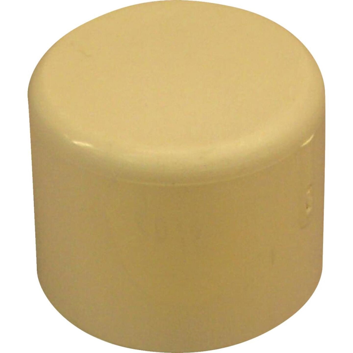 1 in. Slip Solvent Weld CPVC Cap