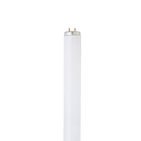 FEIT ELECTRIC