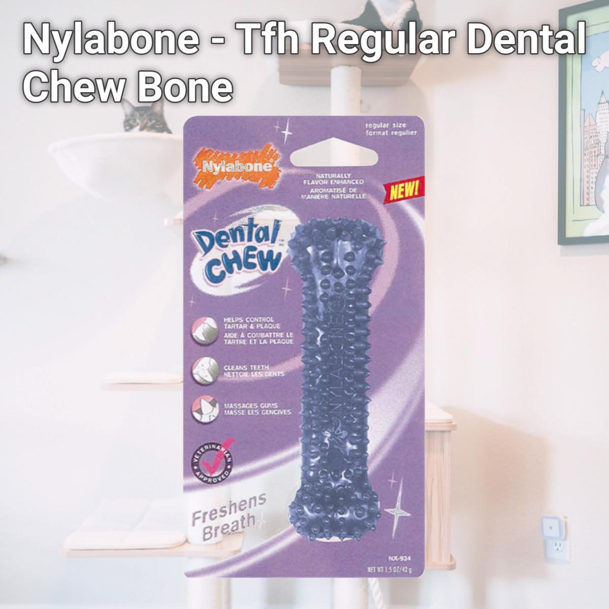 Picture of Nylabone - Tfh Regular Dental Chew Bone  NX934