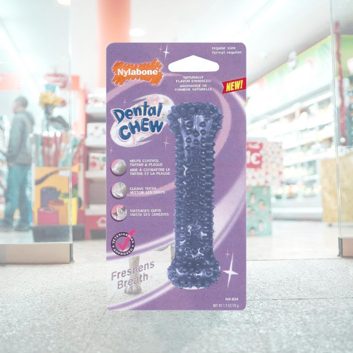 Picture of Nylabone - Tfh Regular Dental Chew Bone  NX934