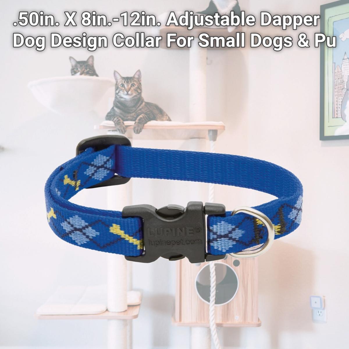 Picture of Lupine Inc .50in. X 8in.-12in. Adjustable Dapper Dog Design Collar For Small Dogs & Pu