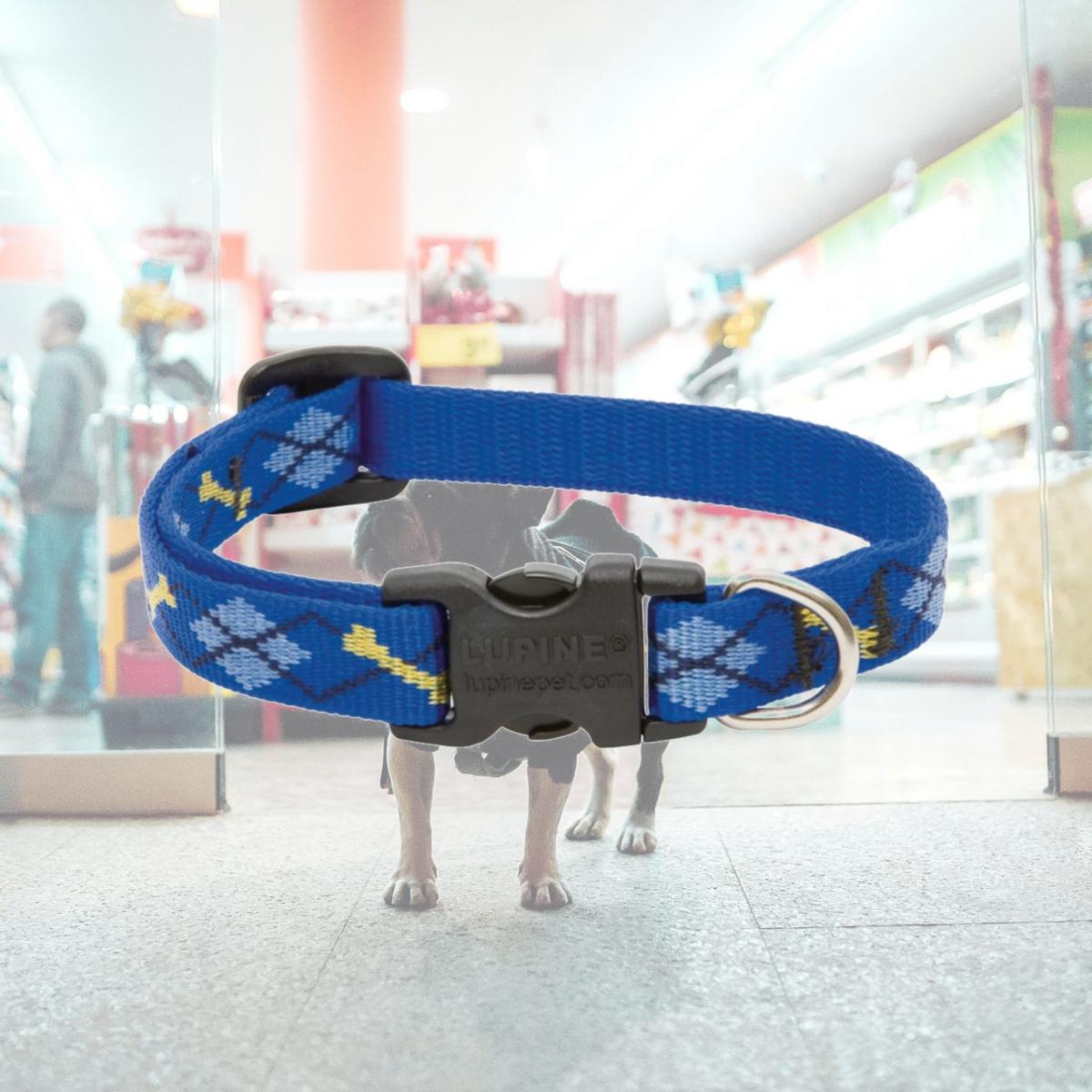 Picture of Lupine Inc .50in. X 8in.-12in. Adjustable Dapper Dog Design Collar For Small Dogs & Pu