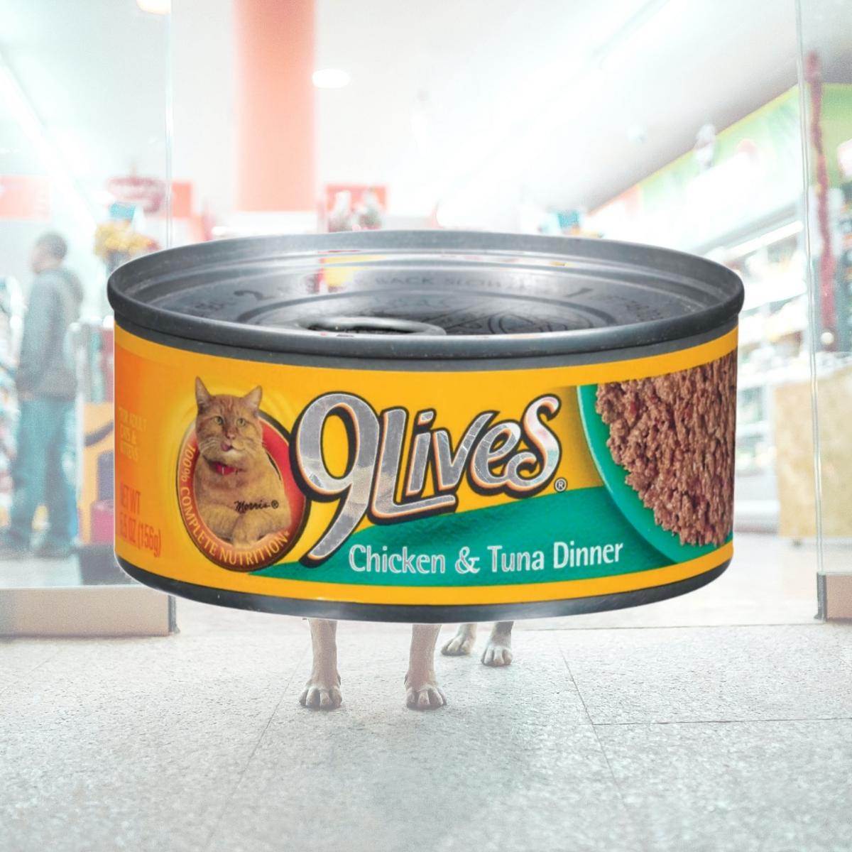 Picture of Del Monte Foods - Pet Food 5.5 Oz Chicken &amp;amp;amp; Tuna Dinner 9Lives Canned Cat Food - Pack of 24