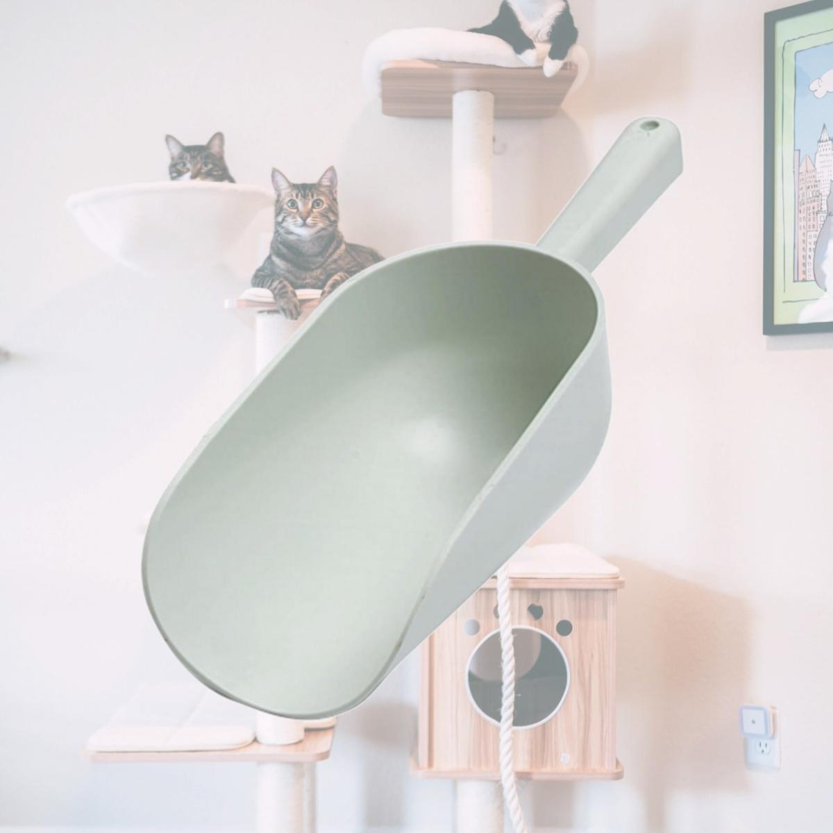 Picture of Miller Manufacturing 89 1 Pint White Plastic Feed Scoops
