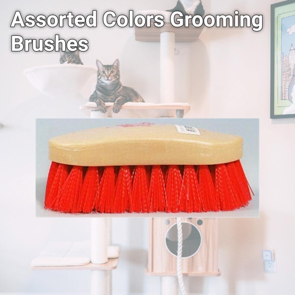 Picture of Decker 95 Assorted Colors Grooming Brushes