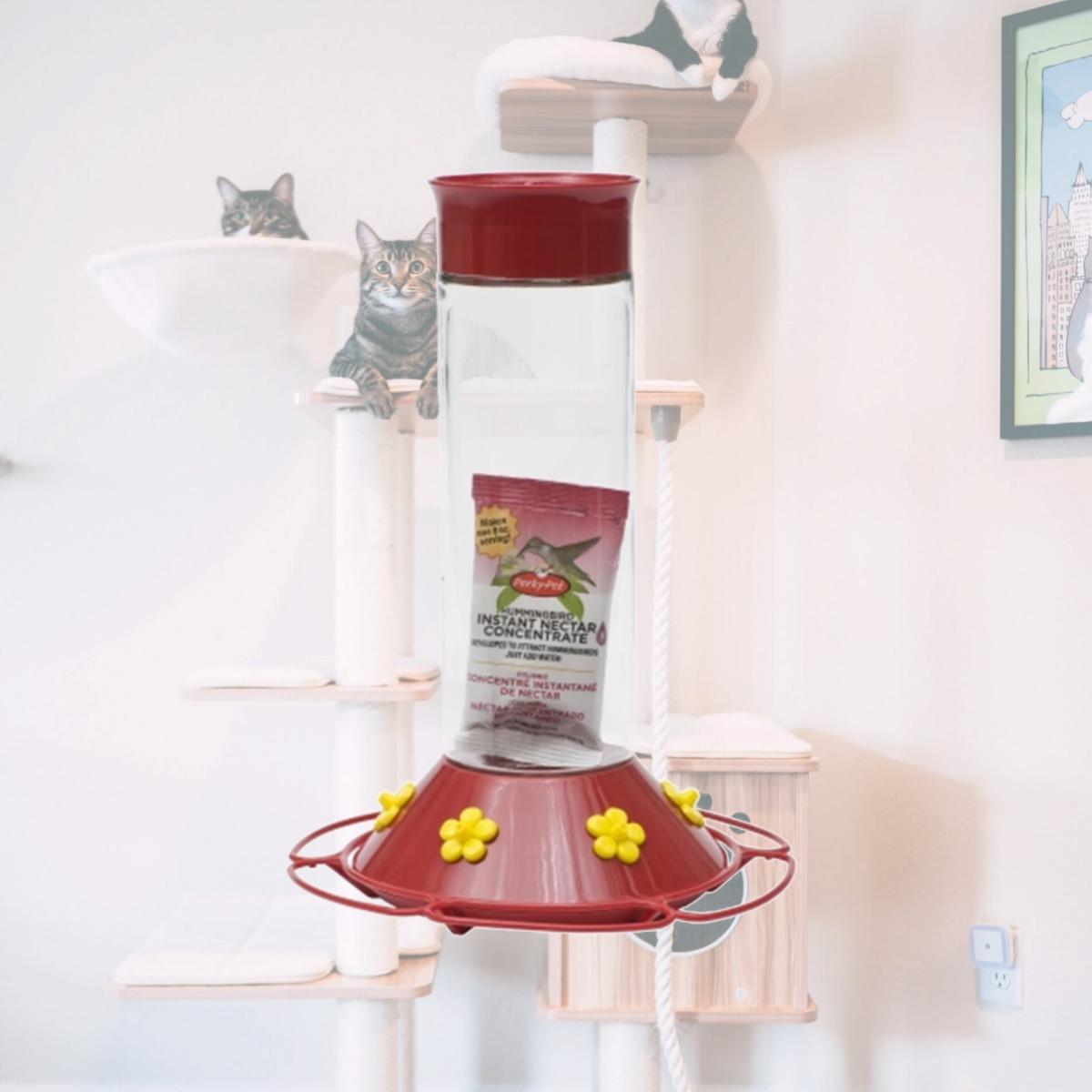 Picture of Woodstream 209B 30 Oz Clear Glass Hummingbird Feeder