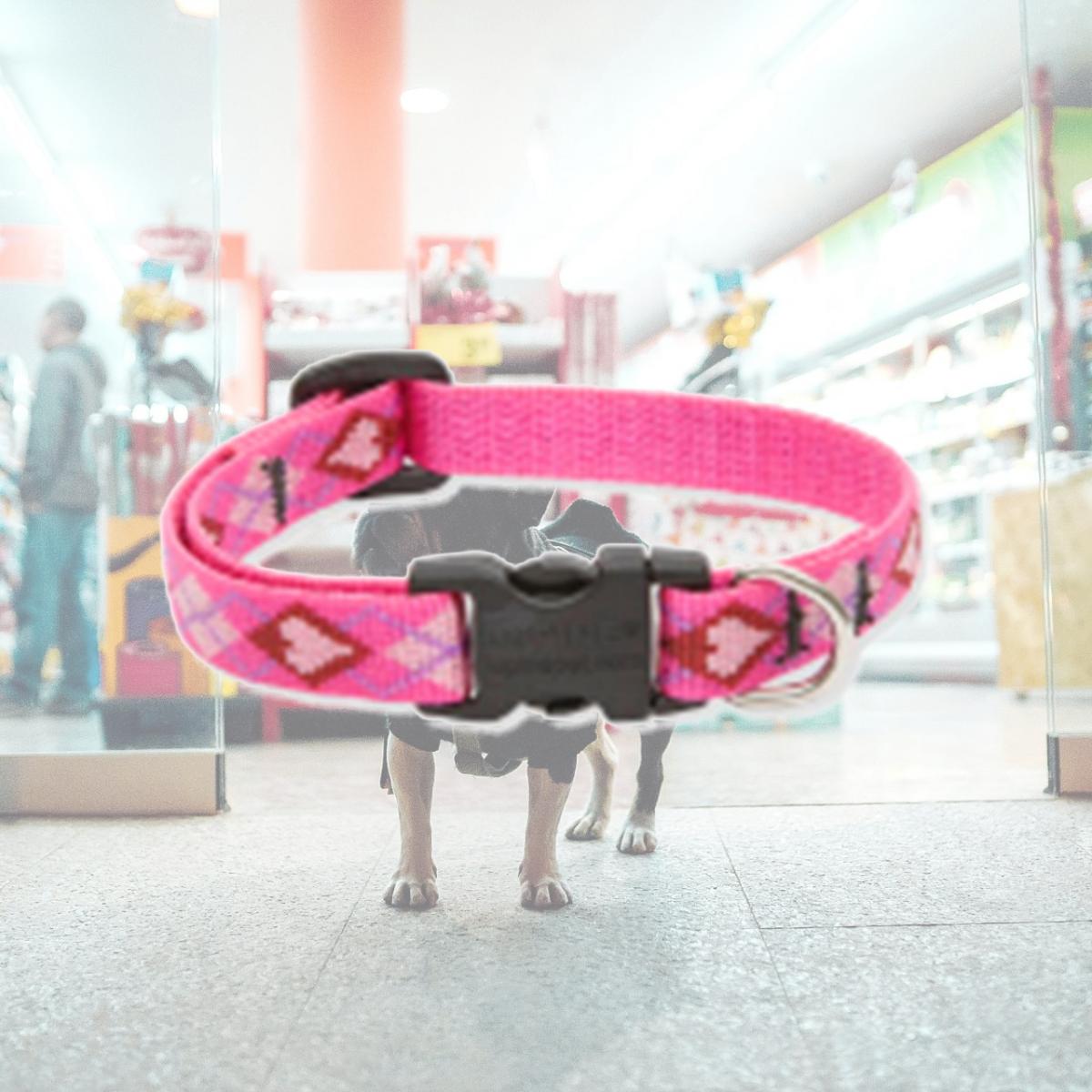 Picture of Lupine Collars & Leads 14234 Adjustable Puppy Love Collar for Small Dogs - 0.5 x 8 -12 in.