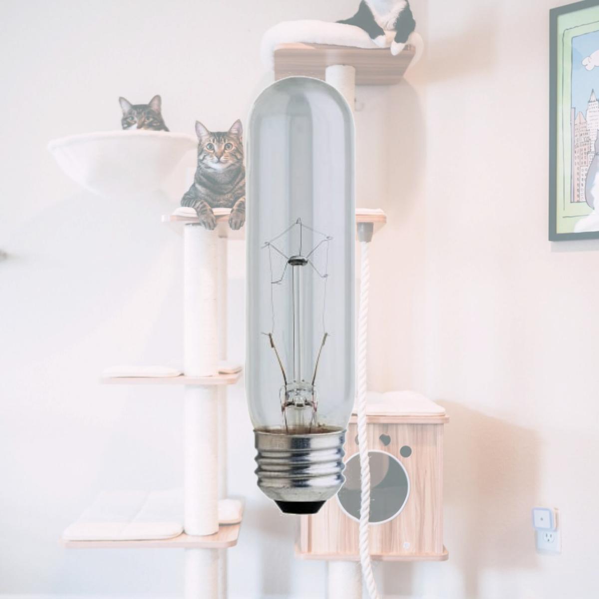 Picture of Feit 25 Watt Clear T10 Long Life Tubular Light Bulbs  BP25T10