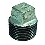 1.25 in. Galvanized Plug