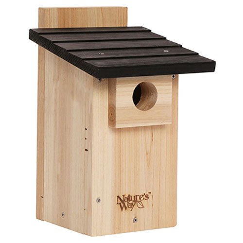 Picture of NatureS Way Bird Products CWH4 Bluebird Viewing House