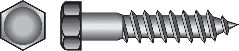 0.31 x 2 in. Hex Lag Screw  Zinc