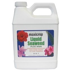 1 qt. Liquid Seaweed Plus Iron 0-0-1, Black