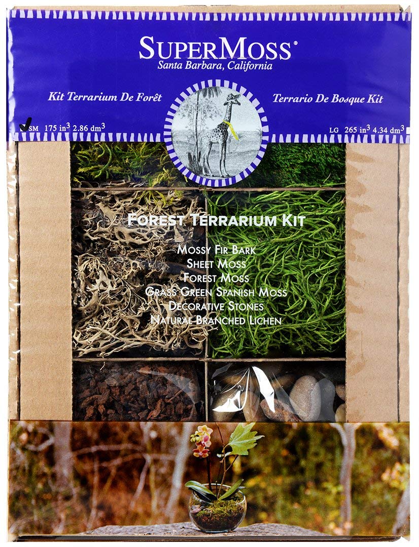 Picture of Super Moss 90423 4 oz Forest Terrarium Kit&#44; Assorted Color