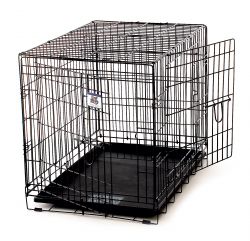 Picture of Pet Lodge WCMED 30 x 21 x 24 in. Medium Black Double Door Wire Pet Crate