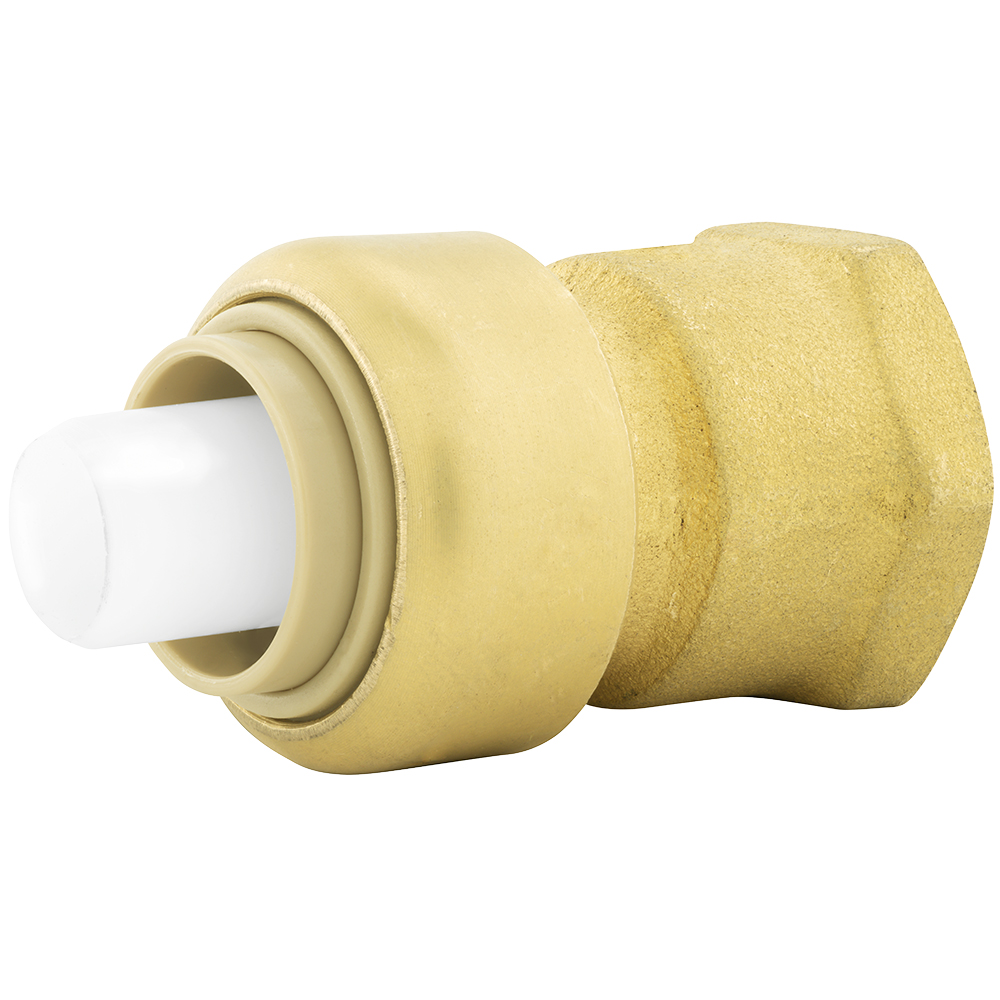 1 x 1 in. FPT Bagged PlumBite Push on Adapter,