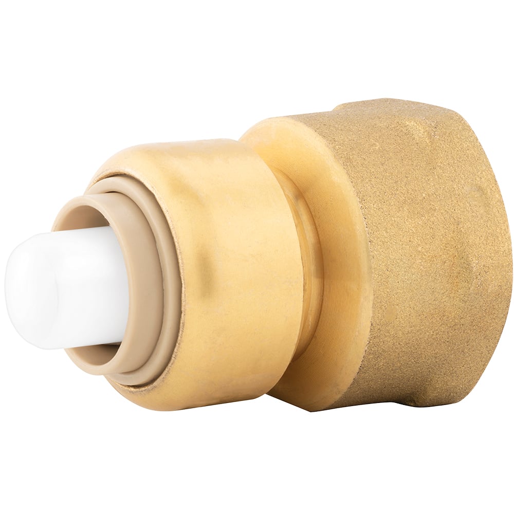 0.375 x 0.5 in. FPT Bagged PlumBite Push on Reducing Adapter,