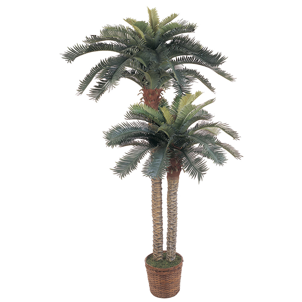 6 & 4 ft. Sago Palm Double Potted Silk Tree