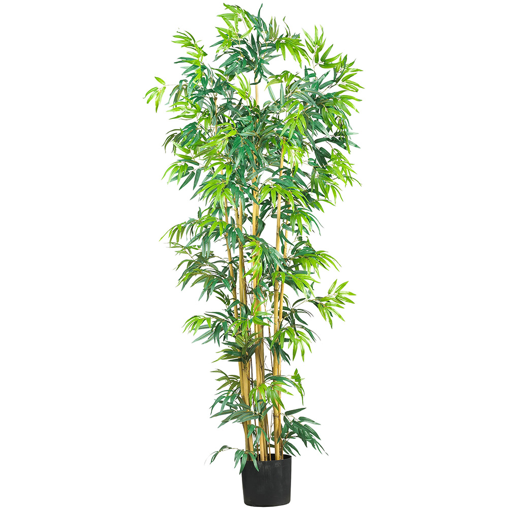 6 ft. Multi Bambusa Bamboo Silk Tree
