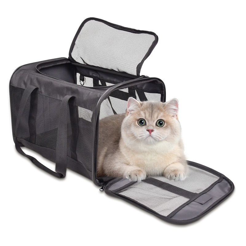 PTC-1711BK  Soft-Sided Airline Approved Bag Cat Carrier, 17-in, Black