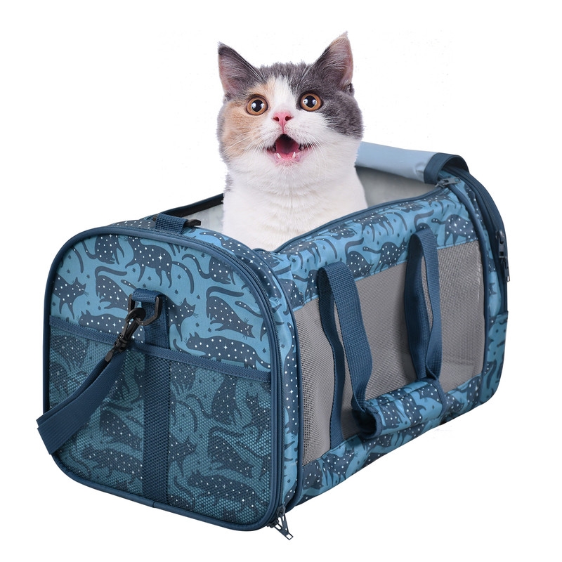 PTC-1911BCP  Soft-Sided Airline-Approved Travel Dog & Cat Carrier, Medium, Blue Cat Print