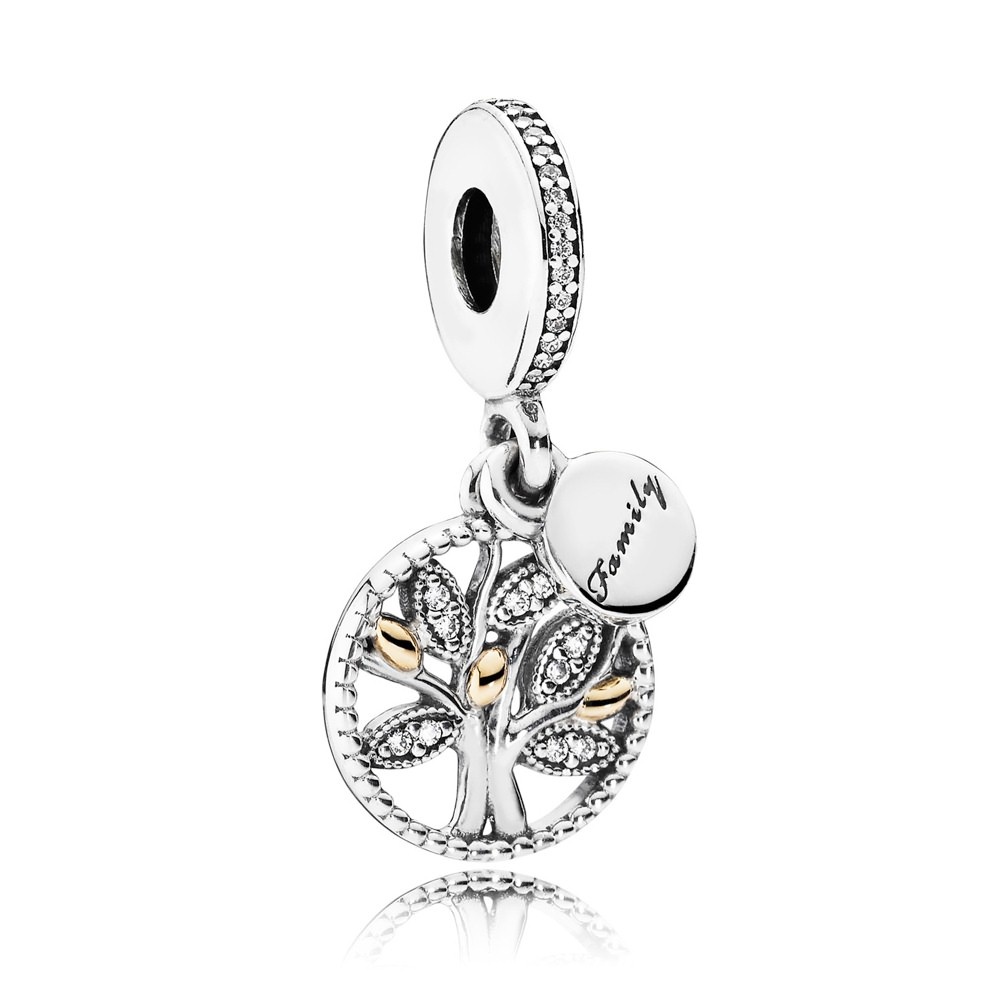 Family Heritage Pendant Charm - 791728CZ