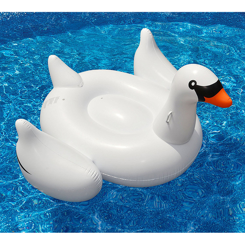 International Leisure Products 90621