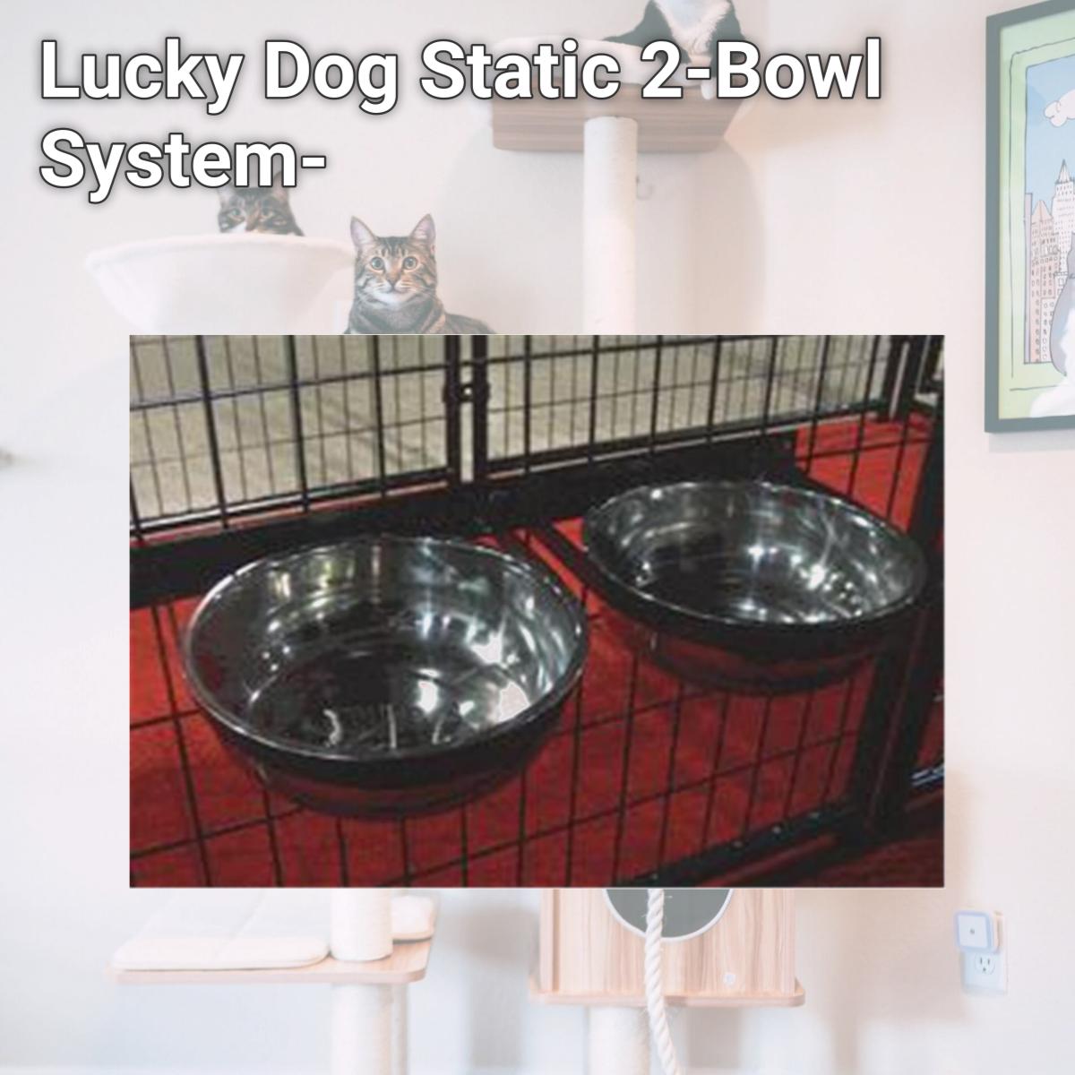 Picture of Lucky Dog Static 2-Bowl System-CL 71121