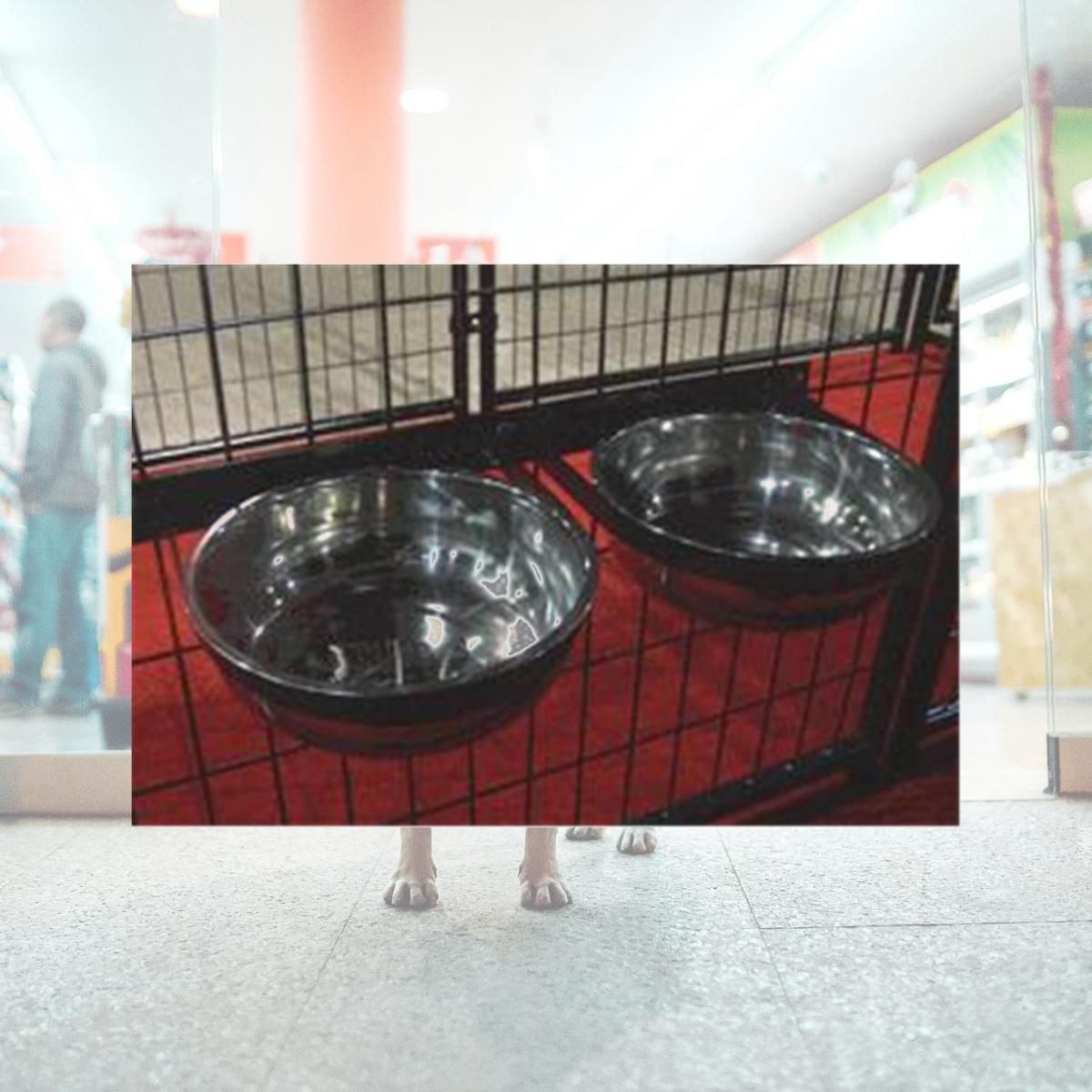Picture of Lucky Dog Static 2-Bowl System-CL 71121