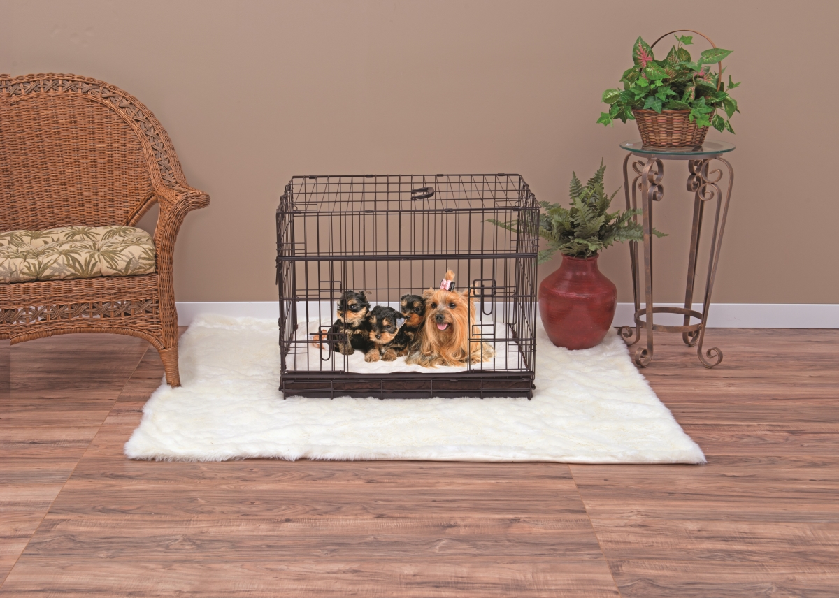 Picture of Lucky Dog ZW 51524 24 in. Sliding Double Door Dog Crate - Small