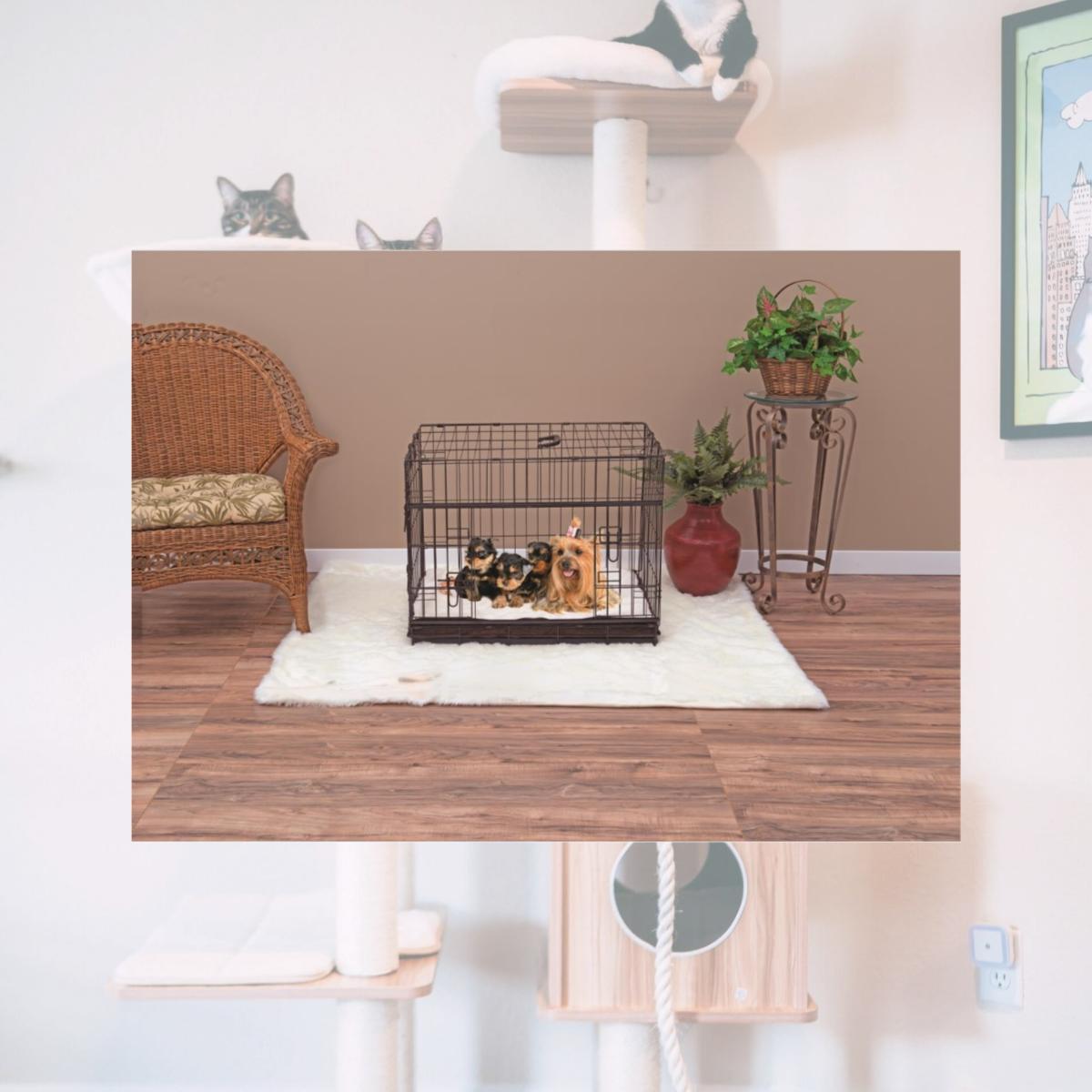 Picture of Lucky Dog ZW 51524 24 in. Sliding Double Door Dog Crate - Small