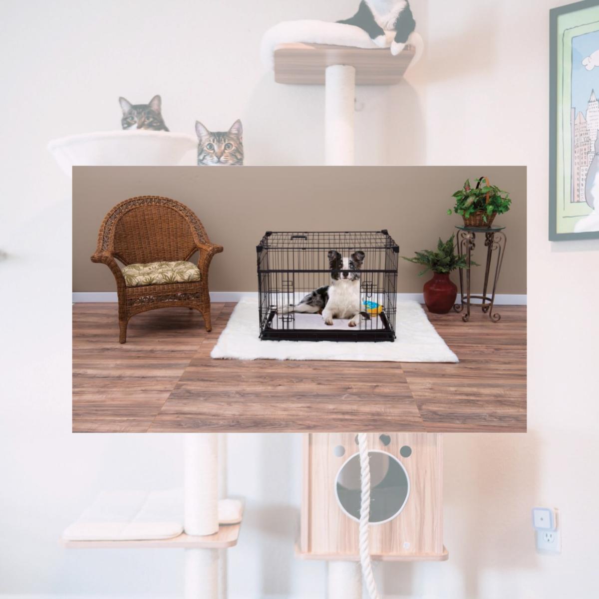 Picture of Lucky Dog ZW 51536 36 in. Sliding Double Door Dog Crate - Medium & Large