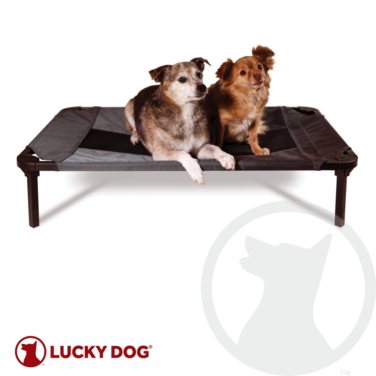 Picture of Lucky Dog CMB10130-ZE0310 30 in. Elevated Pet Bed