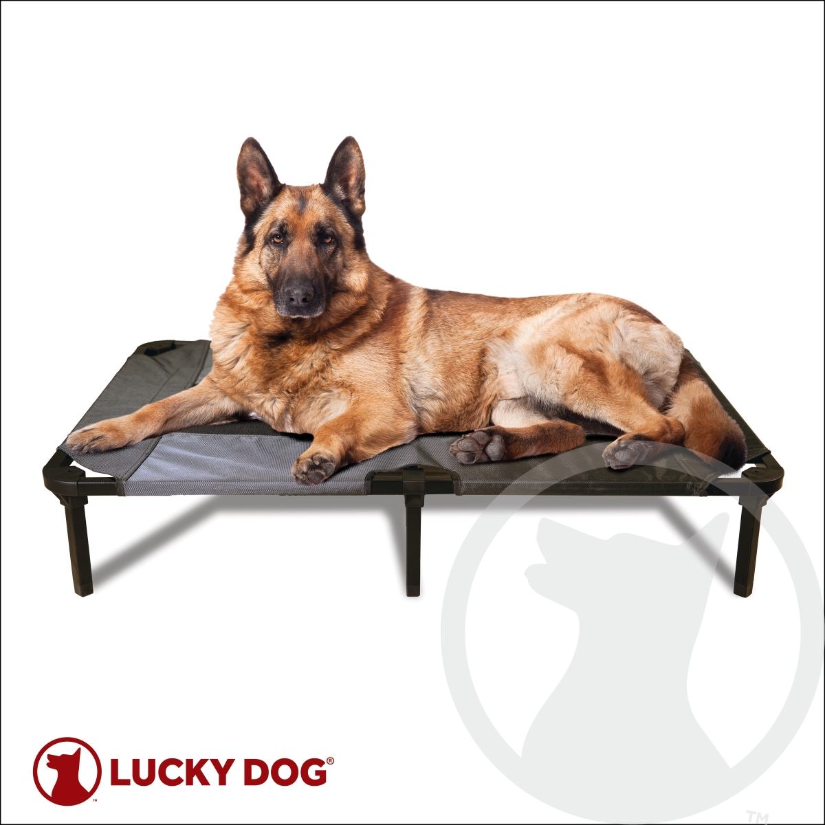 Picture of Lucky Dog CMB10148-ZE0310 48 in. Elevated Pet Bed