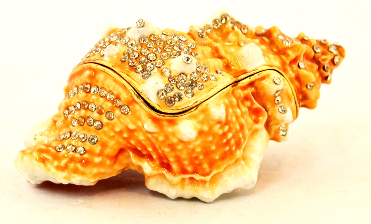 Picture of Ciel Collectables 1013385A Beige Conch Shell Gold Plating Trinket Box - Swarovski Crystals & Enamel