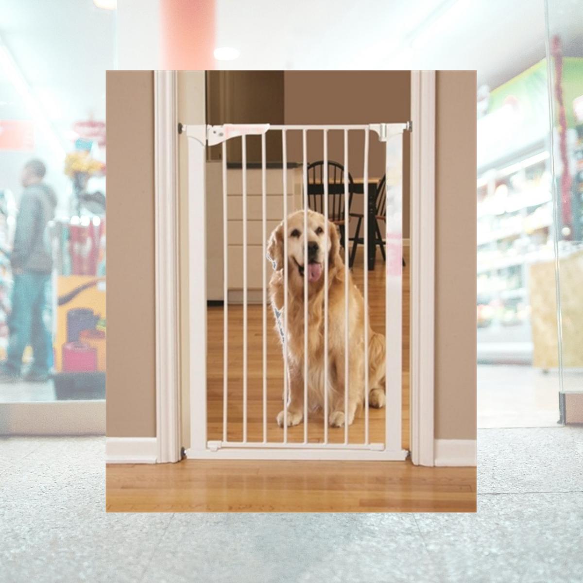 Picture of Command Pet PG5142 28.75 x 1.75 x 42 in. Tall Pressure Gate