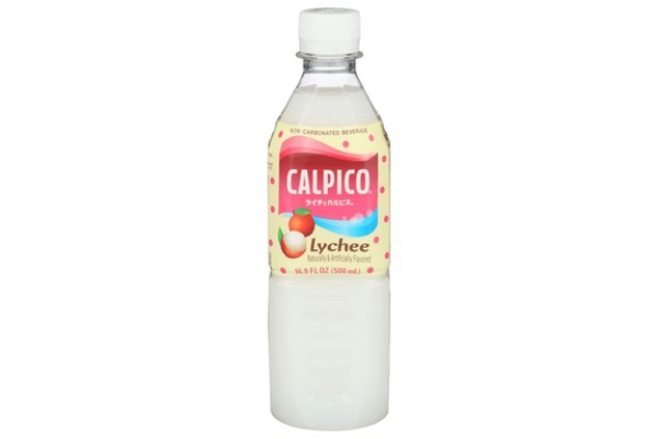 2304613 16.9 fl oz Lychee Non Carbonated Beverage - Case of 6