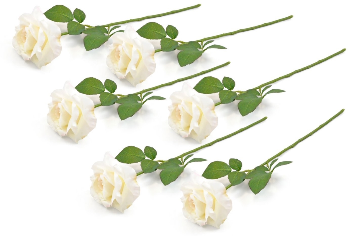 Picture of Bone Dry CAMZ33644S Open Rose Flower&#44; Cream - Set of 6