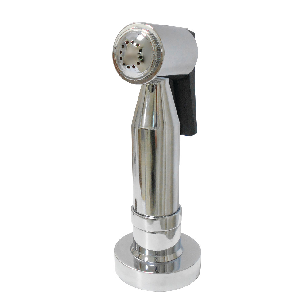 CCRP21K1 Concord Brass Side Sprayer, Polished Chrome