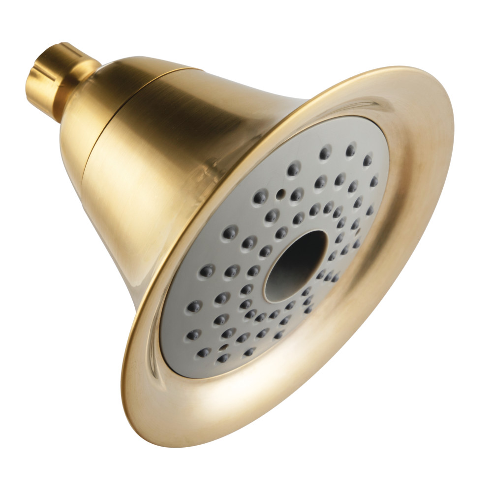 KX367 6 in. Shower Scape 2-Function Shower Head, Brushed Brass