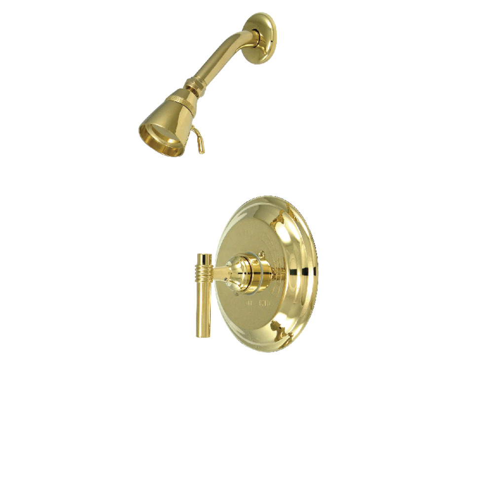 Shower Faucet, 2, Wall Mount, Polished Brass