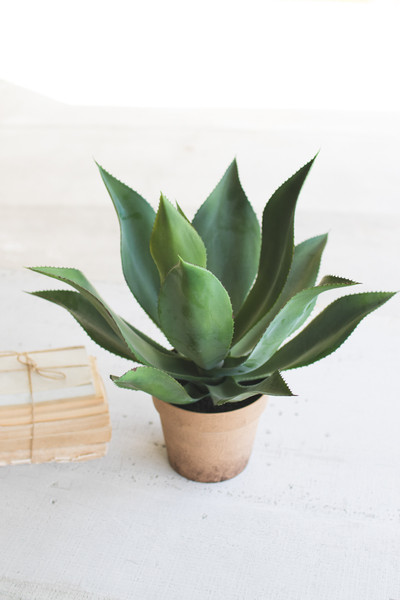 CYF1225 7.5 x 21 in. Artificial Agave in a Painted Plastic Pot, Multi Color